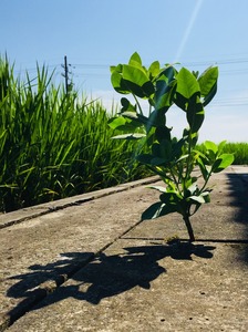 4CCBFA4E-6AD8-4756-BA24-CBE5C07AF364.jpeg