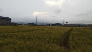 DSC_0080.JPG