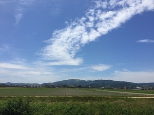 FEF7D40F-B4BD-422E-905C-8F774D2D1999.jpeg